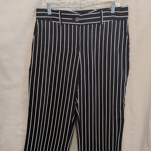 EQUIPMENT Femme LITA Silk STRIPED Trousers Slacks Size 8-10